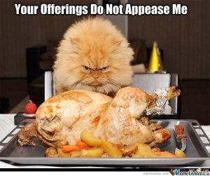 grumpy-cat-is-overrated_o_1002199